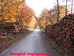 Brennholz am Rennweg in Stephanshausen